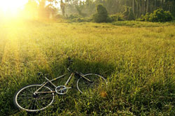 Radwege in Paderborn und Umgebung